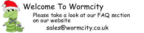 wormcity